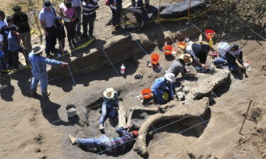 Scopri di più sull'articolo Scoperti i resti di un mammut in Messico